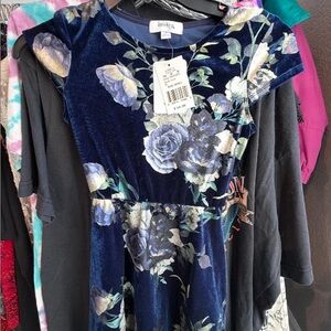 Speechless NWT Blue Floral Velvet Dress size: 5